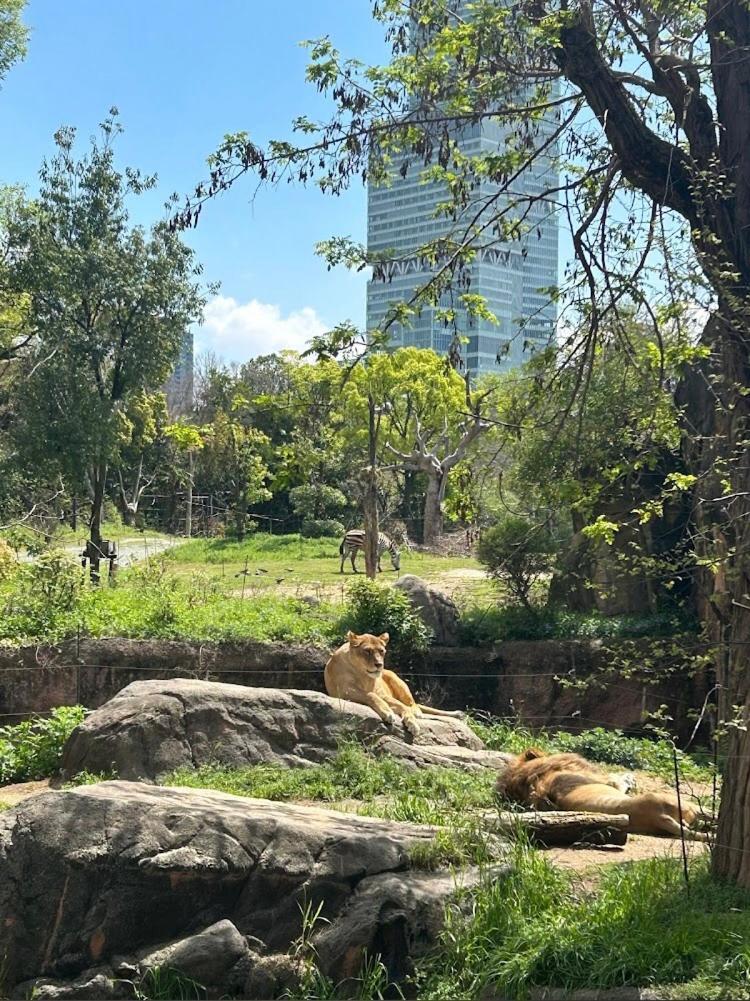 Reifa宿泊動物園前2 Osaka Zewnętrze zdjęcie